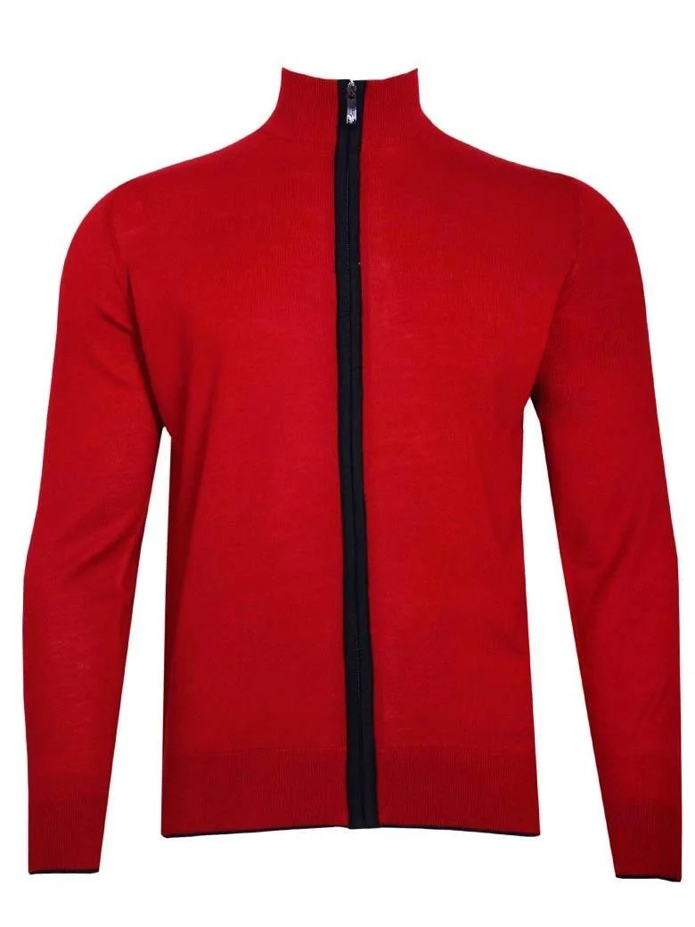 Чоловічий джемпер FORMENTI FW-4043 вовна/акрил